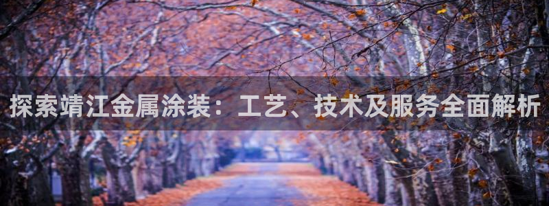 美高梅控股有限公司