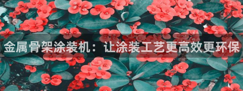 美高梅会员卡等级怎么分
