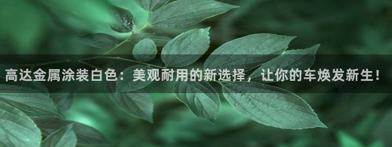 美高梅mgm信誉第一