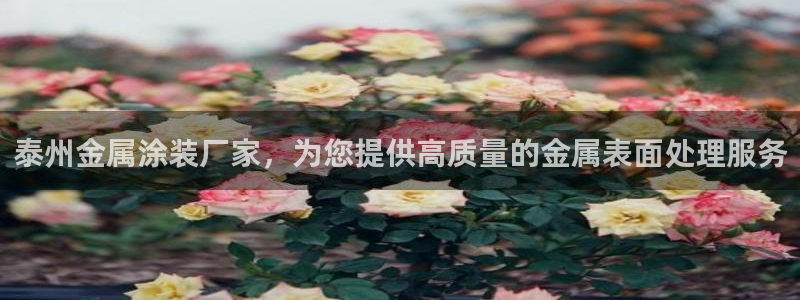 美高梅免费巴士接送时间