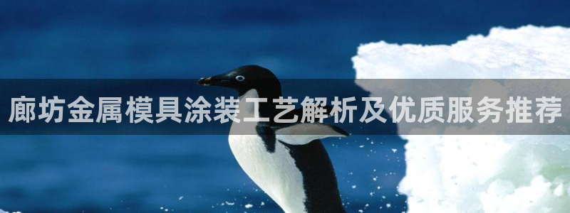 美狮美高梅商场