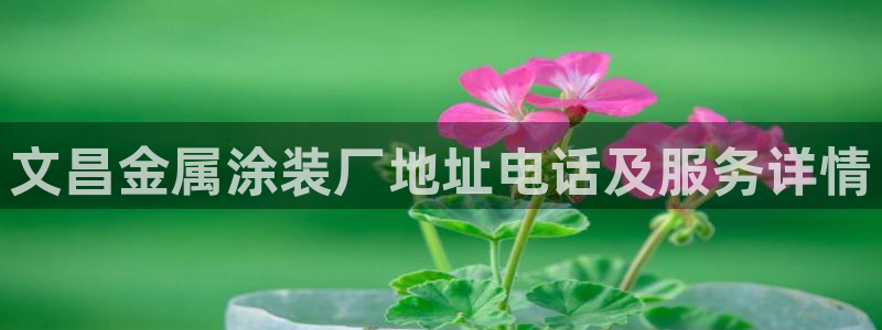 美高梅网投总站