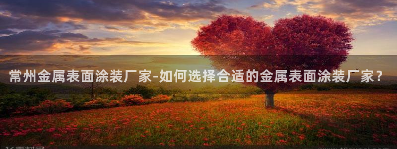 美高梅酒店位置
