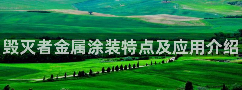 美高梅卡颜色等级
