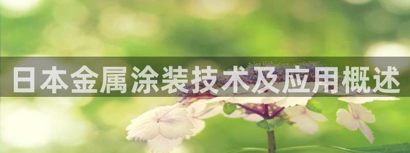 美高梅酒店拉斯维加斯