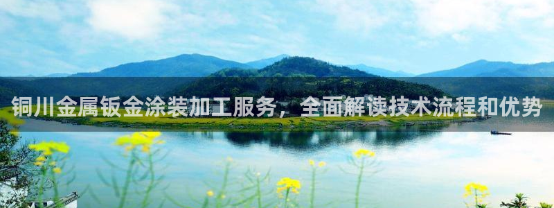 美高梅酒店和丽思卡尔顿哪个好