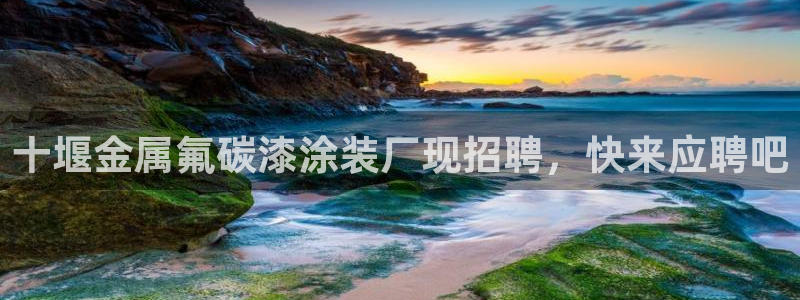 美高梅会员卡打折吗