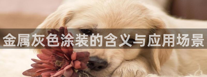 美高梅飞鱼表演还有吗
