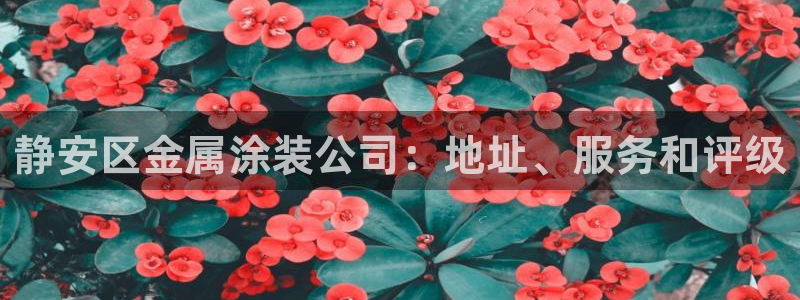 美高梅酒店发财车
