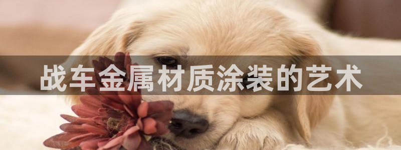 鲁能钓鱼台美高梅别墅二手房