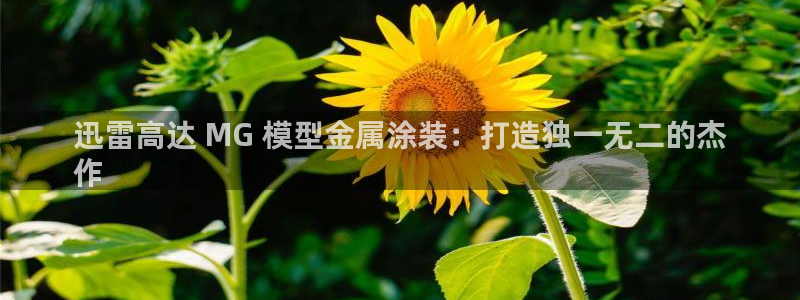 美高梅网投总站