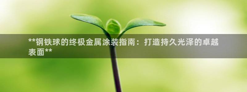 美高梅酒店澳门照片