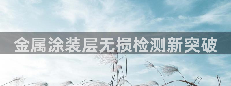 美高梅老板是