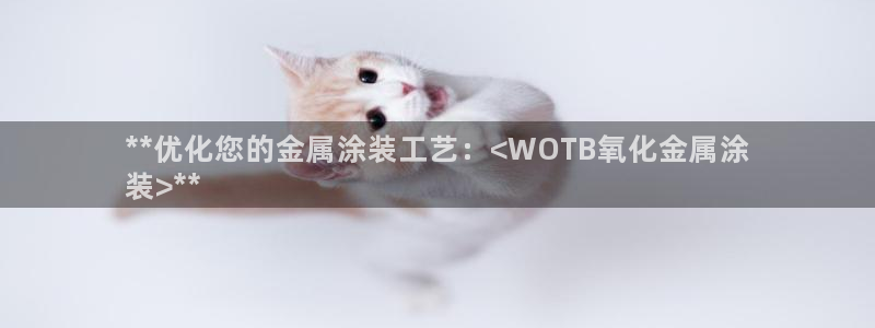 美狮美高梅酒店发财车在哪里