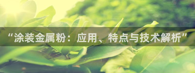 美高梅儿童托管怎么样可靠吗